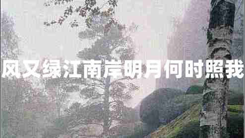 春風又綠江南岸明月何時照我還
