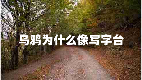 烏鴉為什么像寫(xiě)字臺