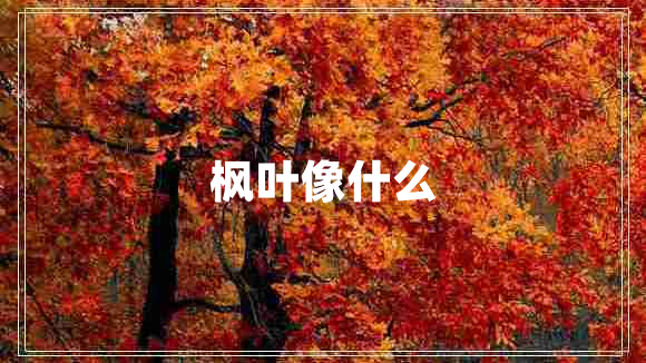 楓葉像什么