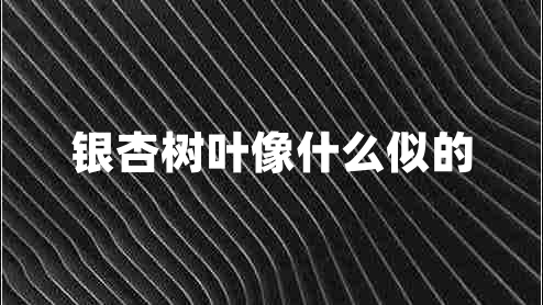銀杏樹葉像什么似的