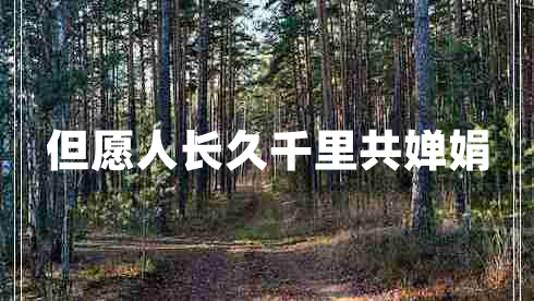 但愿人長(zhǎng)久千里共嬋娟