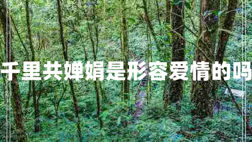 千里共嬋娟是形容愛情的嗎