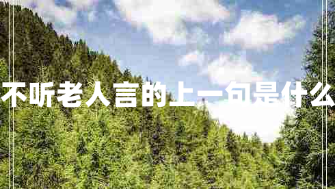 不聽(tīng)老人言的上一句是什么