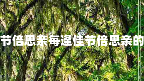 獨在異鄉為異客每逢佳節倍思親每逢佳節倍思親的上一句和下一句是什么