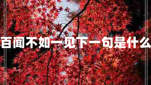 百聞不如一見(jiàn)下一句是什么