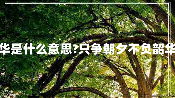 不負(fù)韶華是什么意思?只爭朝夕不負(fù)韶華的意思