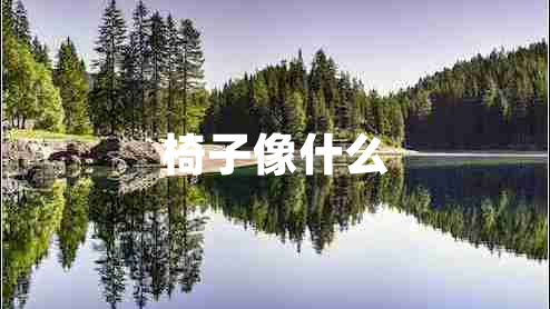 椅子像什么