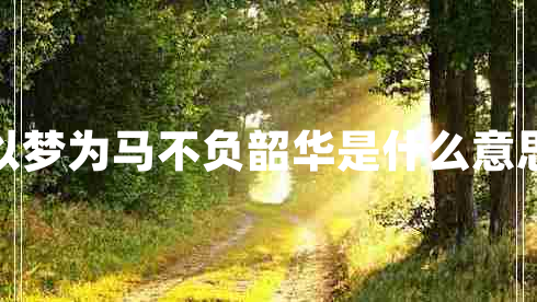 以夢為馬不負韶華是什么意思