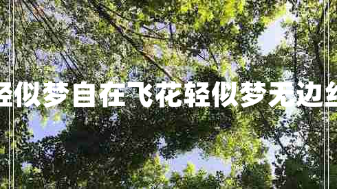 自在飛花輕似夢(mèng)自在飛花輕似夢(mèng)無(wú)邊絲雨細如愁