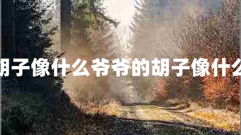 胡子像什么爺爺的胡子像什么