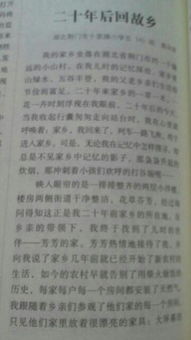 怎么寫(xiě)作文未來(lái)的校園
