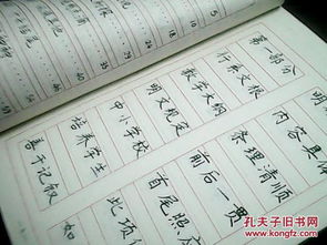 書(shū)法進(jìn)校園四百字作文