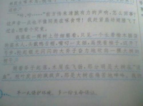 校園一角作文寫(xiě)銀杏樹(shù)400字