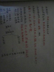 按空間順序回憶校園的作文400字