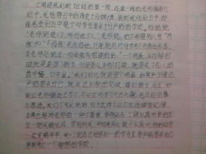 進(jìn)新校園的感受作文