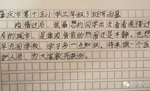疫情當我重新回到校園作文