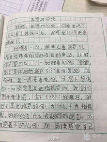 5級(jí)作文春滿校園400
