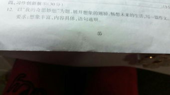 校園是樂(lè )園350字作文