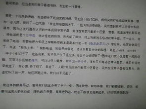 作文,校園