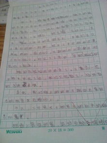 作文,六級(jí),運(yùn)動(dòng)會(huì),校園
