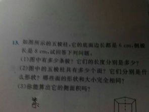 作文,石榴,校園里,字左右