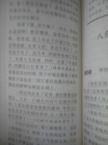 在校園的一天作文100個字