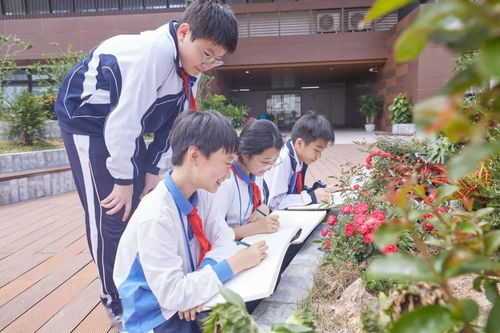 畫卷校園作文