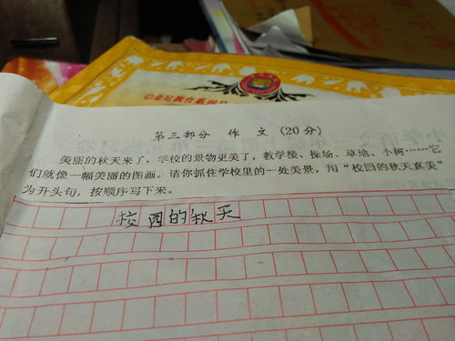 三級作文校園的蘇鐵樹(shù)