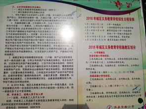 沛縣實(shí)驗小學(xué)東校區校園作文