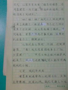 寫(xiě)在校園生活的作文