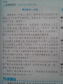 寫(xiě)校園松樹(shù)的作文200字
