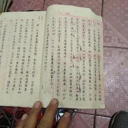 我的學(xué)校五中作文600字,五中校園的秋天作文600字,描寫(xiě)五中校園作文