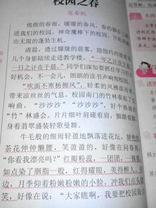 校園里最美的人作文600字作文開(kāi)頭