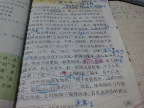 愛(ài)校園里的大樹(shù)寫(xiě)一篇作文四百字