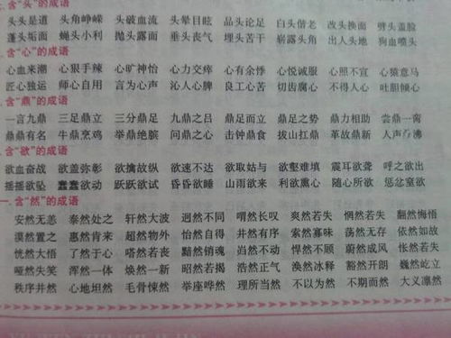校園風(fēng)景線(xiàn)三百字作文