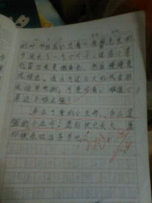 三年級的作文校園的生活600個字,校園里的生活作文300字三年級,快樂的校園生活作文三年級