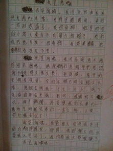 美麗的校園作文200個(gè)字三級上冊