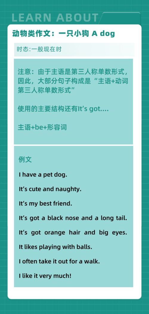 打造無(wú)紙屑校園作文