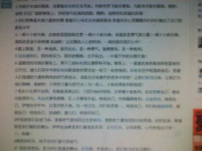愛國歌曲進校園新聞式的作文