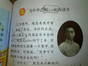 對校園的感想作文1000字