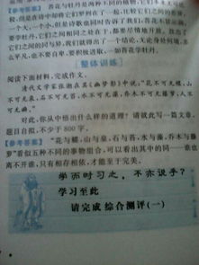 永遠的校園800字作文