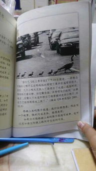 期中考試總結300字作文,校園個(gè)人總結300字,中考總結作文300字作文