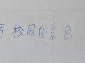 最美校園風(fēng)景作文600字初中作文