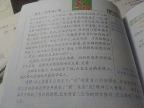 以校園中的兩種植物為題寫一篇作文300字