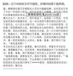 贊美校園的花壇作文400字