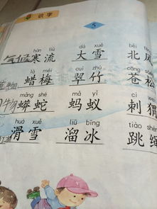 描寫(xiě)秋天校園里的公園200字作文