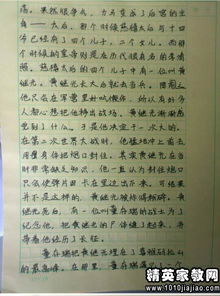 關(guān)于元旦校園運動(dòng)會(huì )的作文300字