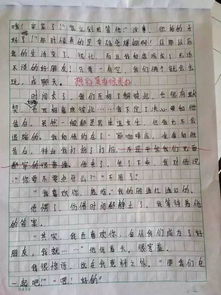 寫(xiě)青島的中小學(xué)最美校園的作文