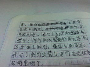 我校的校園作文怎么寫(xiě)