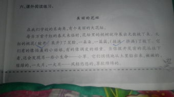 美麗的校園作文提綱怎么寫,美麗的校園作文怎么寫四年級,我們美麗的校園的作文怎么寫三年級